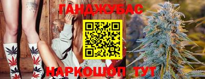 сатива Лесосибирск