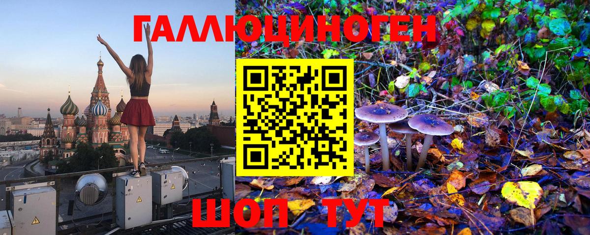 Заводоуковск  Псилоцибиновые грибы Magic Shrooms  Вход с VPN 