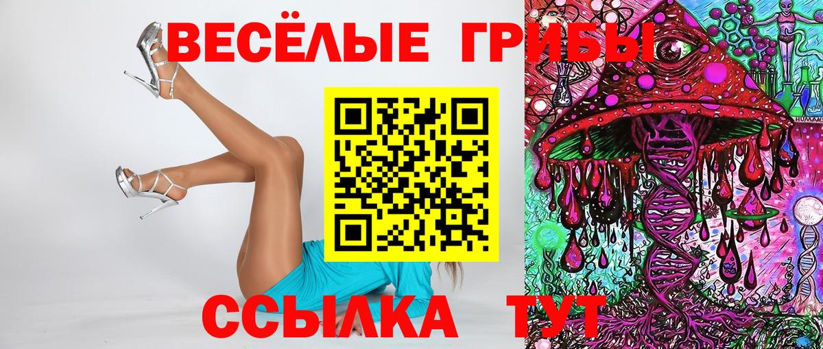 Галлюциногенные грибы Magic Shrooms Заводоуковск